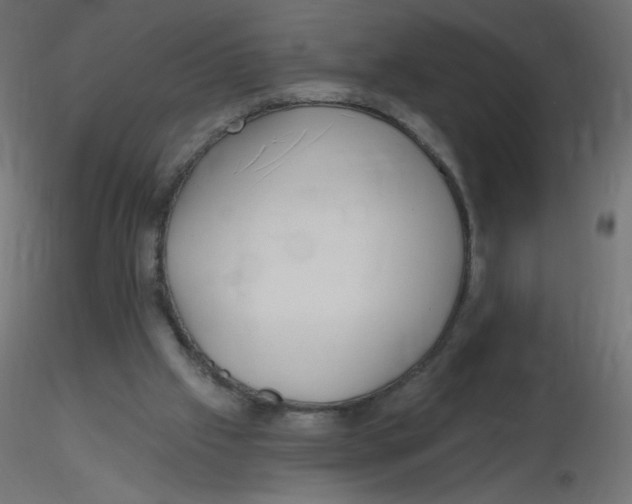 X0000116630057200912312208