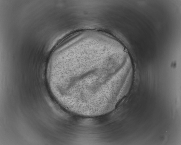 X0000116630058200912312208