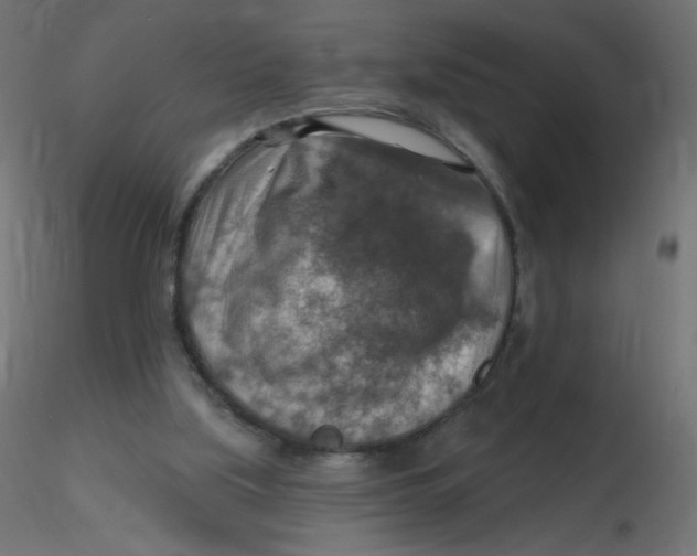 X0000116630059200912312208