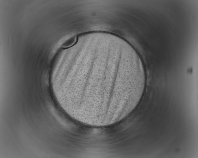 X0000116630060200912312208