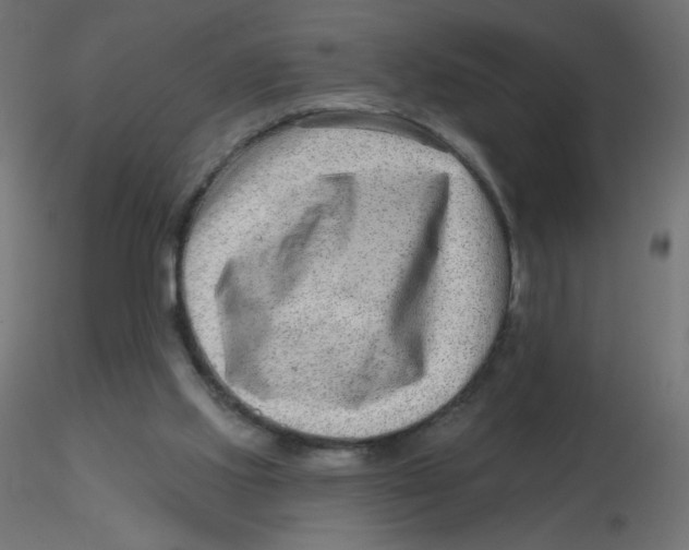X0000116630061200912312208