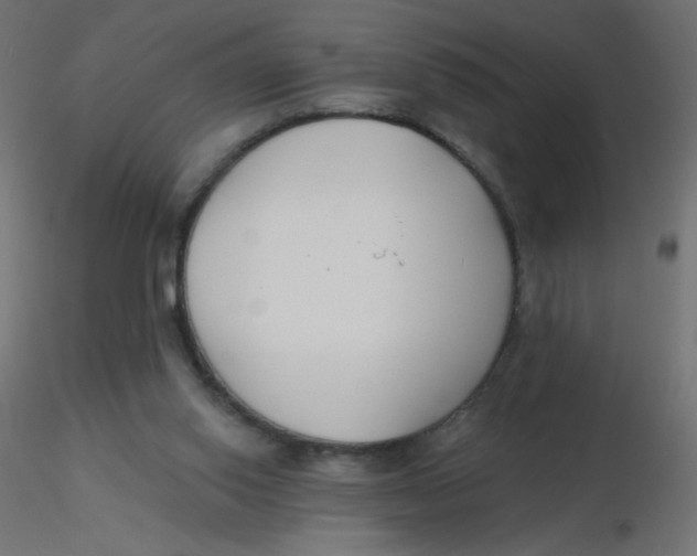 X0000116630062200912312208