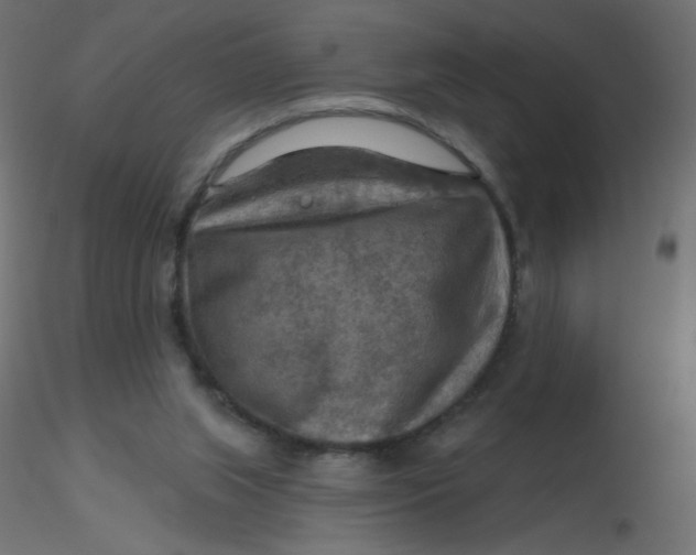 X0000116630063200912312208