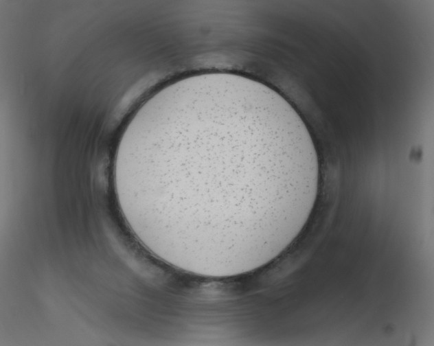X0000116630064200912312208
