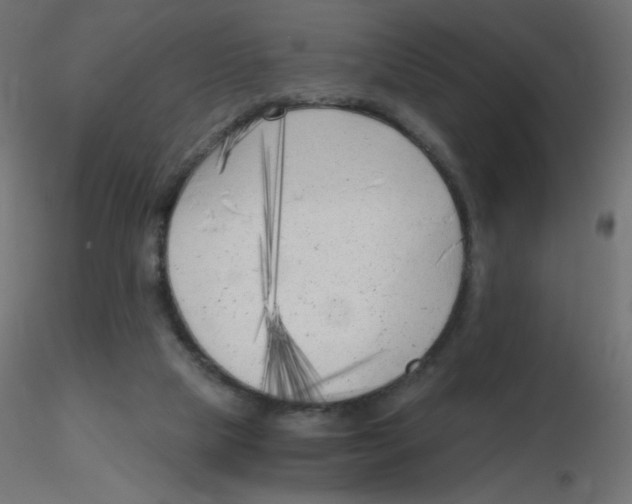 X0000116630065200912312208