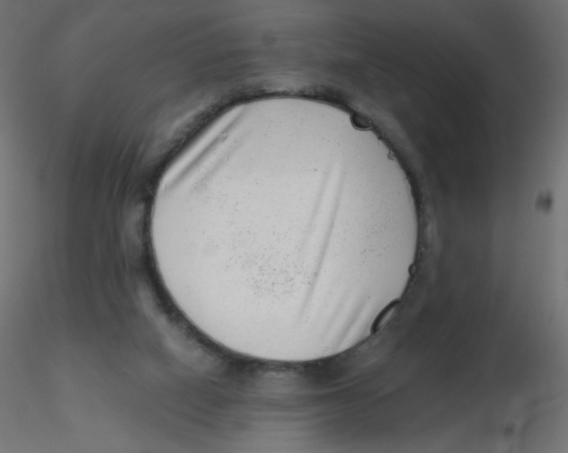 X0000116630066200912312208