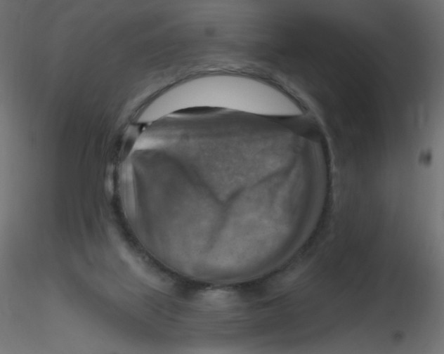X0000116630067200912312208