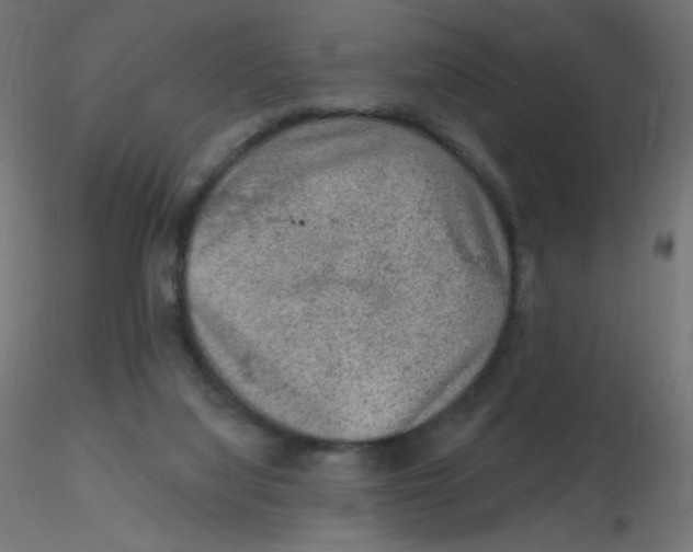X0000116630068200912312208