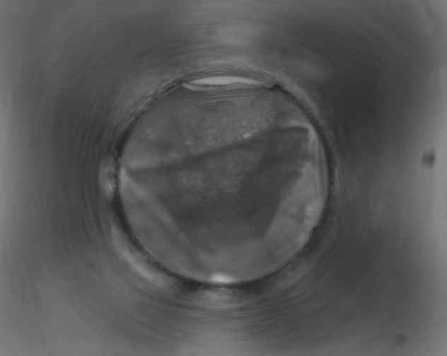 X0000116630069200912312208
