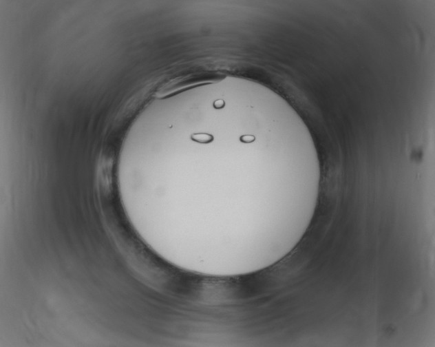 X0000116630070200912312208