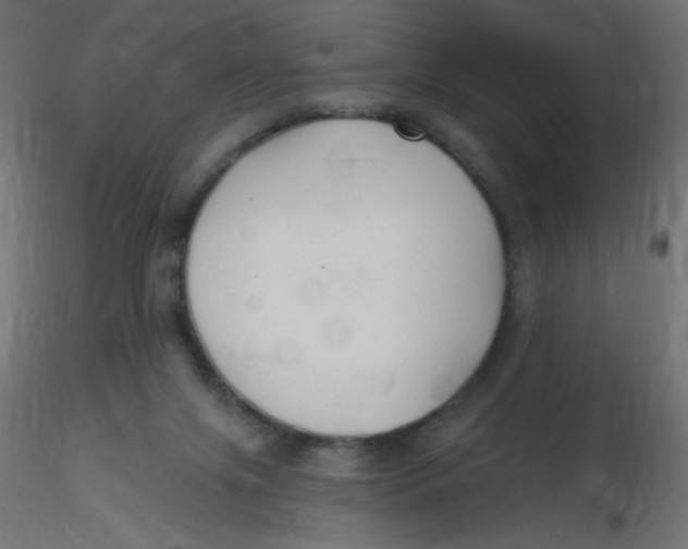 X0000116630071200912312208