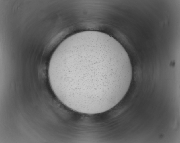 X0000116630072200912312208