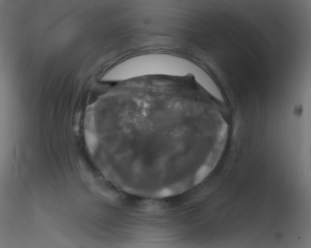 X0000116630073200912312208