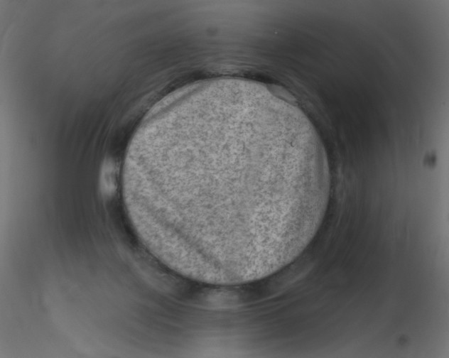 X0000116630075200912312208