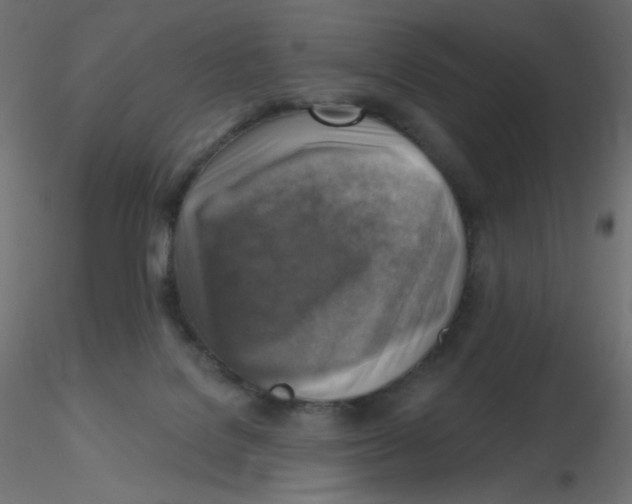X0000116630076200912312209