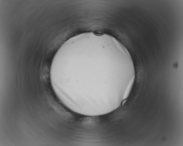 X0000116630077200912312209