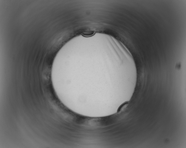 X0000116630078200912312209