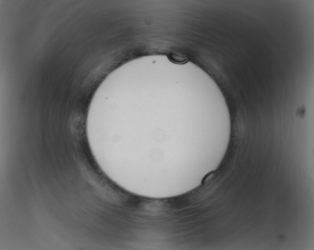 X0000116630079200912312209