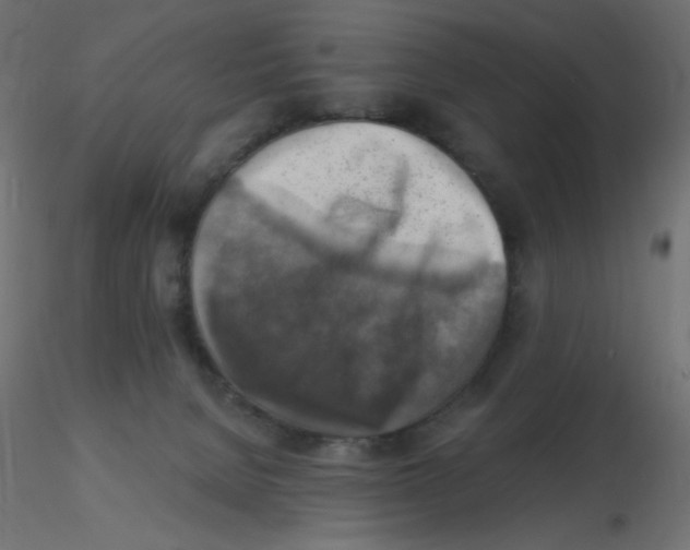 X0000116630080200912312209