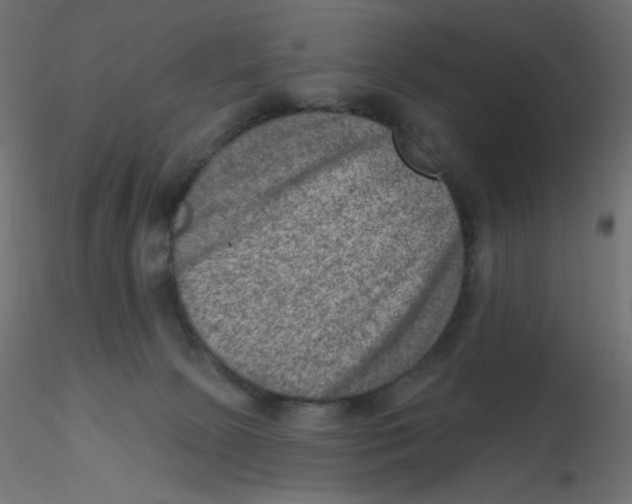X0000116630081200912312209