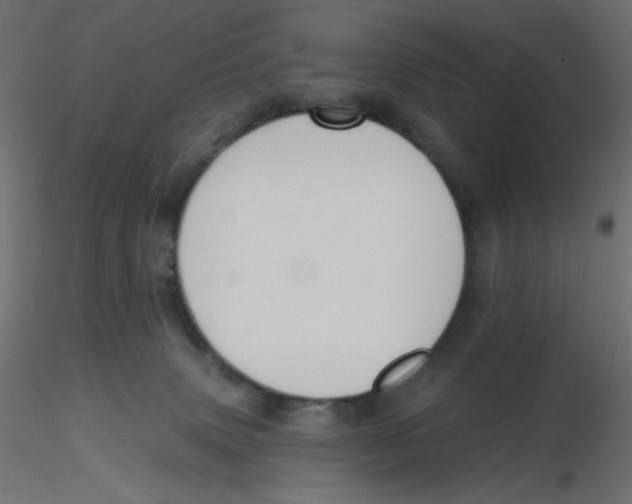 X0000116630083200912312209