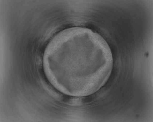 X0000116630084200912312209