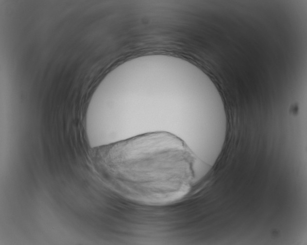 X0000116630085200912312209