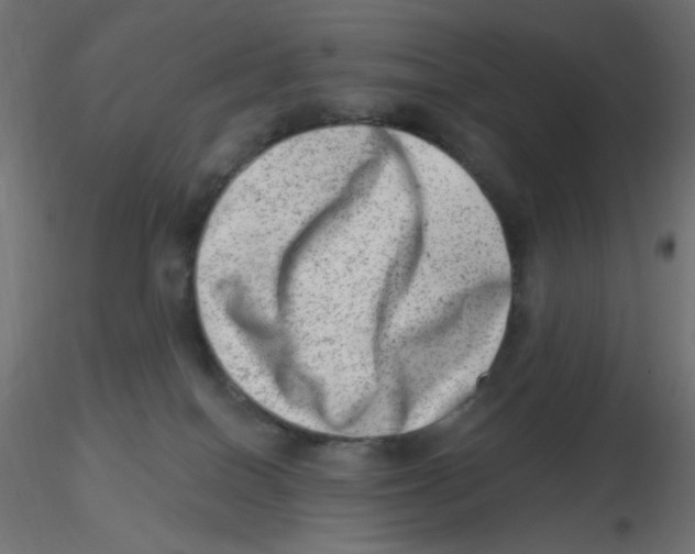 X0000116630086200912312209