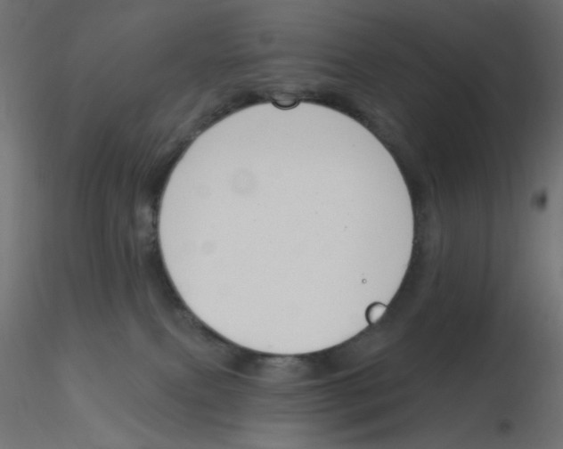 X0000116630087200912312209