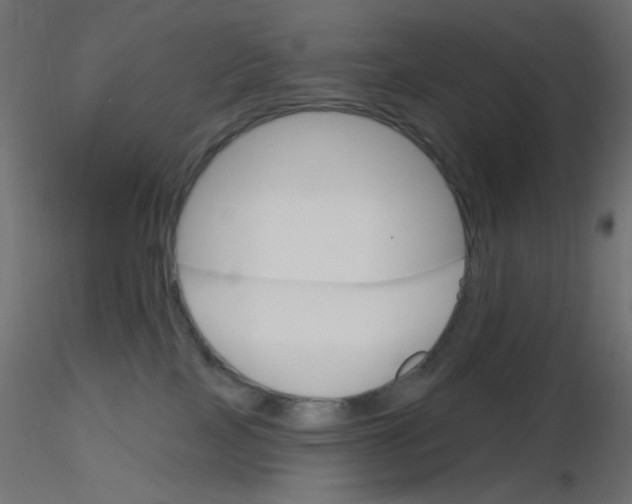X0000116630089200912312209