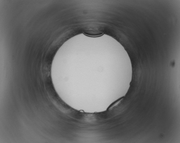 X0000116630091200912312209