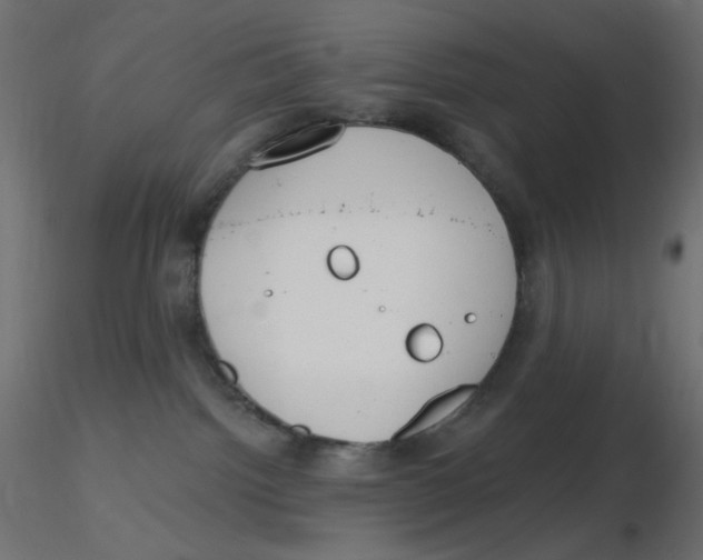 X0000116630092200912312209