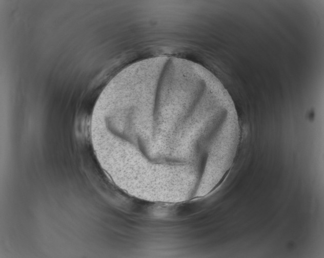 X0000116630094200912312209