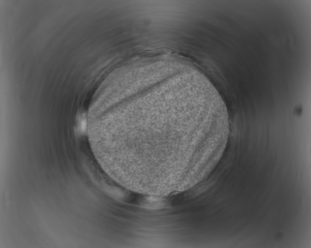 X0000116630095200912312209