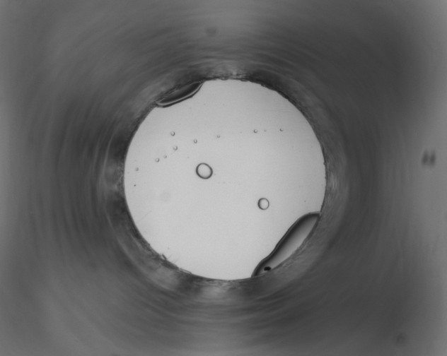 X0000116630096200912312209