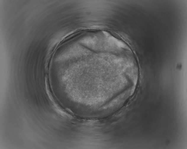 X0000116630097200912312208