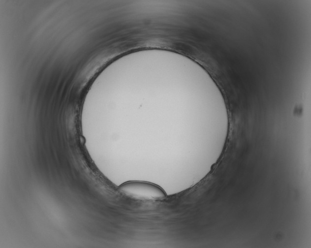 X0000116630098200912312208