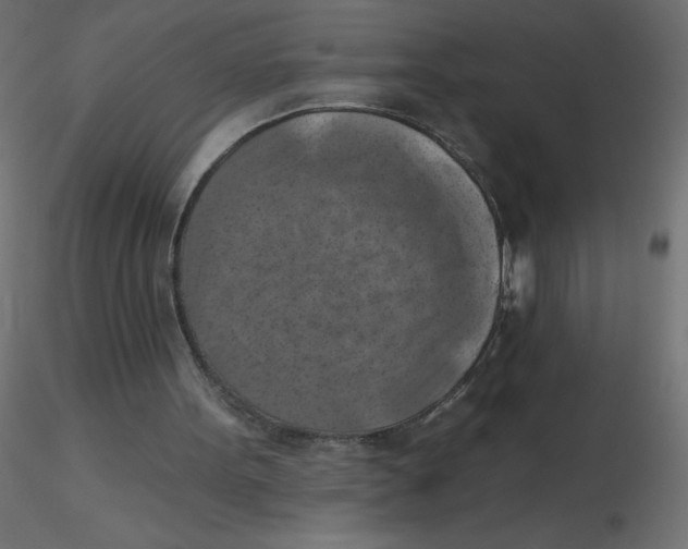 X0000116630099200912312208