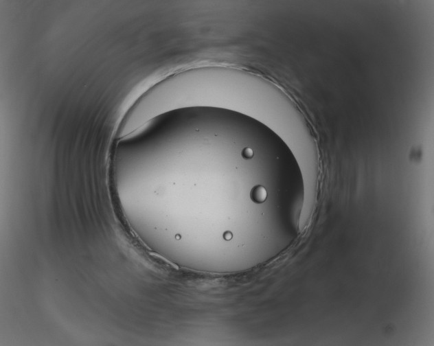 X0000116630100200912312208