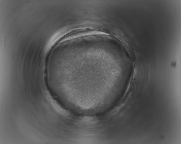 X0000116630101200912312208