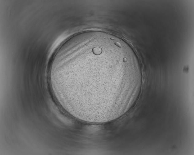 X0000116630102200912312208