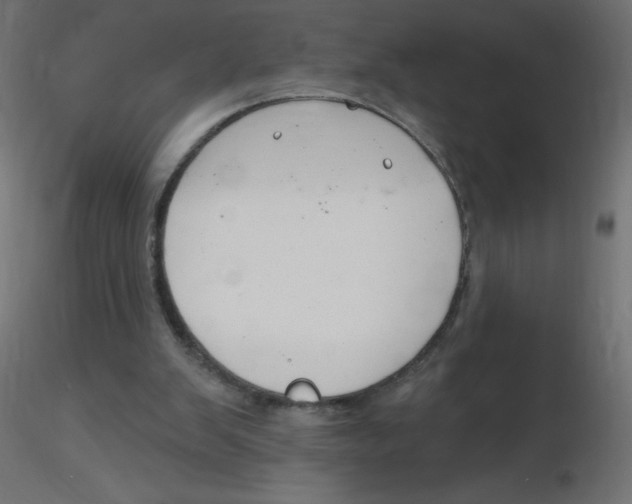 X0000116630103200912312208