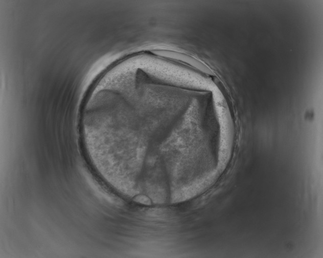 X0000116630104200912312208