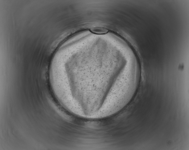 X0000116630105200912312208