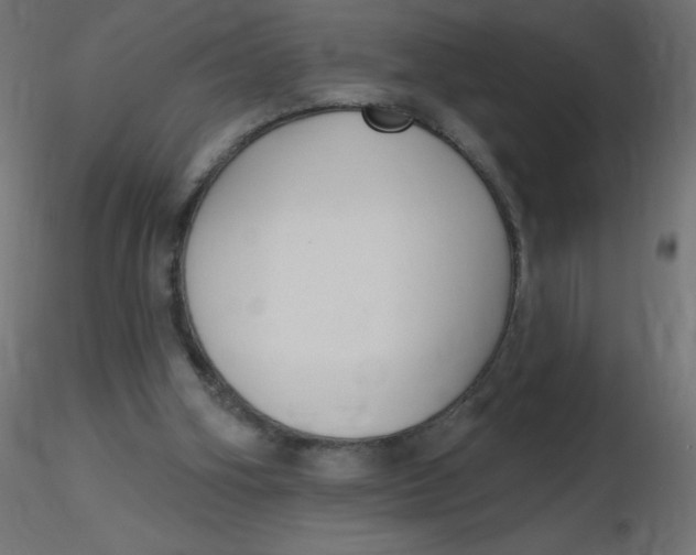 X0000116630106200912312208