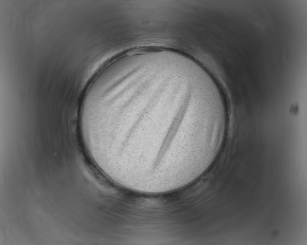 X0000116630107200912312208
