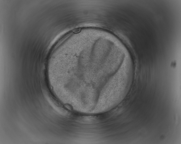 X0000116630108200912312208