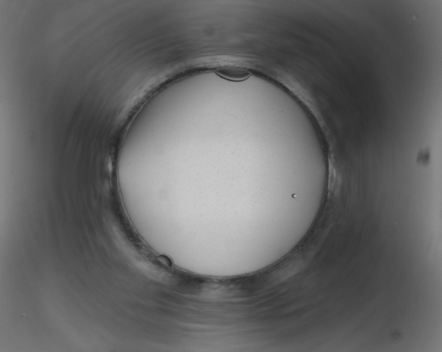 X0000116630109200912312208