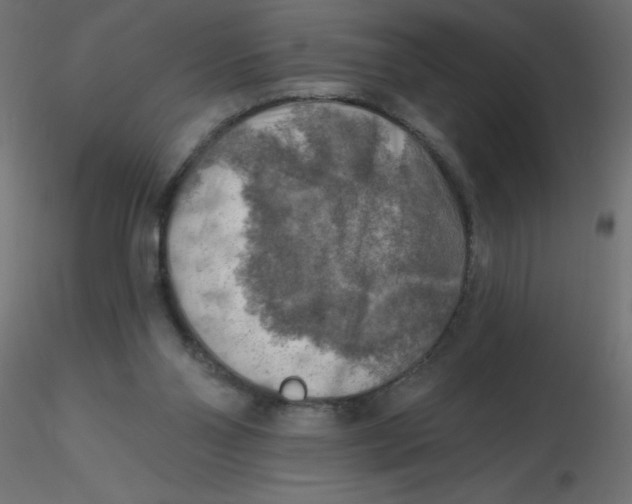 X0000116630110200912312208