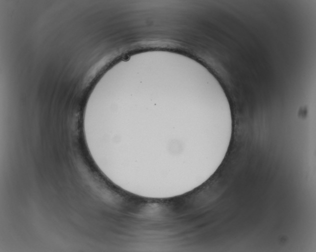 X0000116630111200912312208